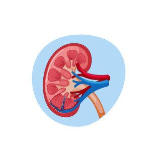 Nephrology